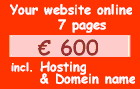 Your web site online, 7 pages incl. hosting and domain name : 600 Euro