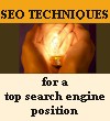 SEO optimization techniques for a top search engine position